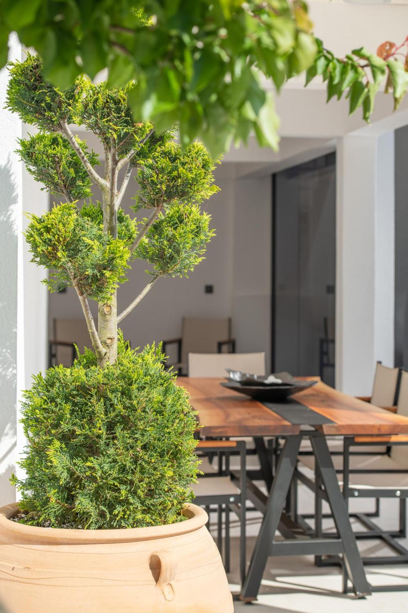 Alexandrion Appartements Down Town Sarti Ngoại thất bức ảnh
